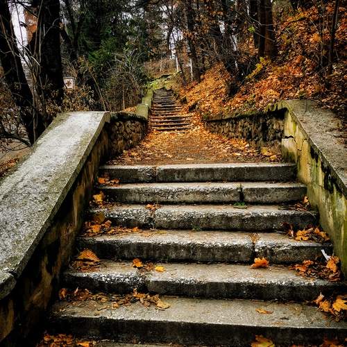 Photo #12682889