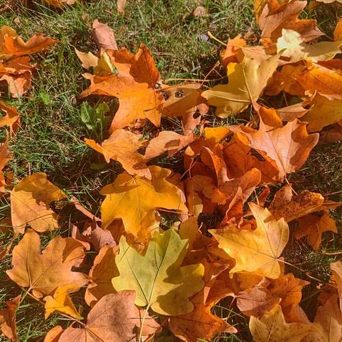Photo #12683081