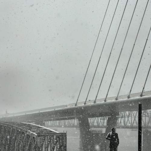 Photo #12683091