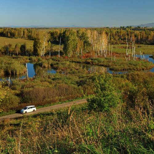 Photo #12683360