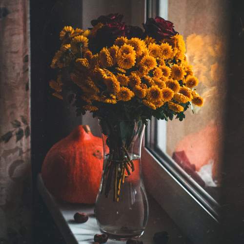 Photo #12683764