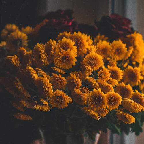 Photo #12683765