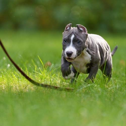 Photo #12683806