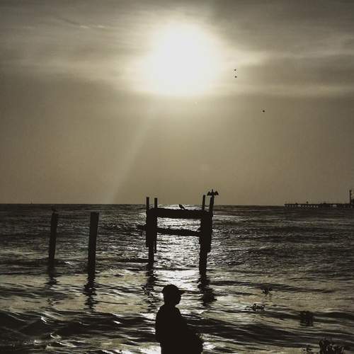 Photo #12683814