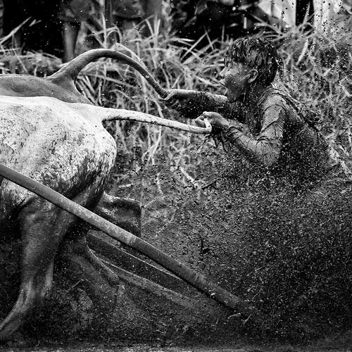 Фотография #12683819