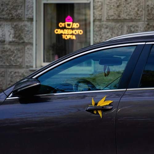 Photo #12683901