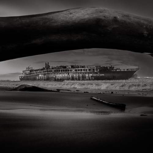 Last Harbor