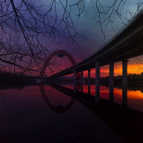Photo #12684119