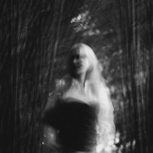 Photo #12684258