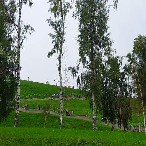 Photo #12684441