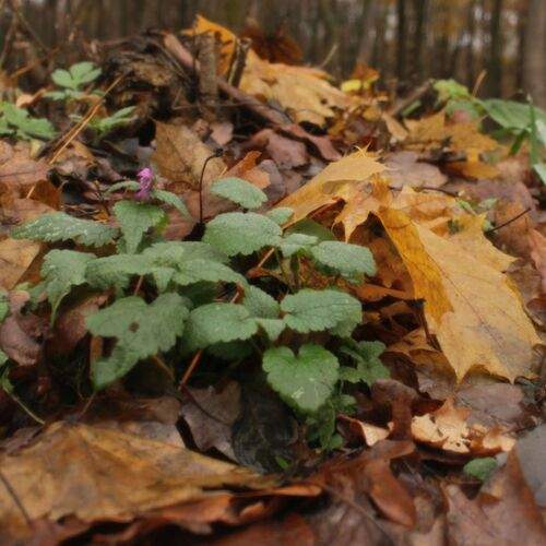 Photo #12684563