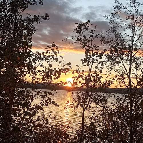 Photo #12684713