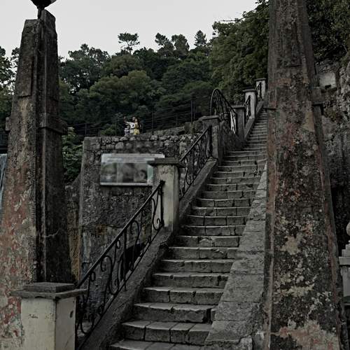 Photo #12685054