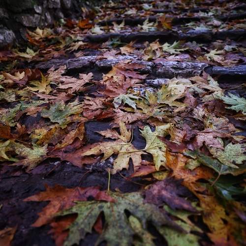 Photo #12685066