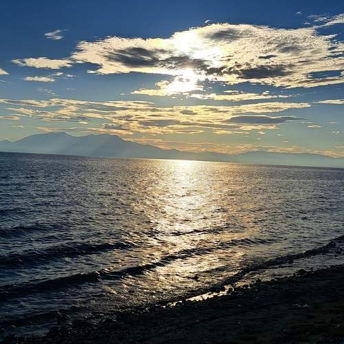 Photo #12685226