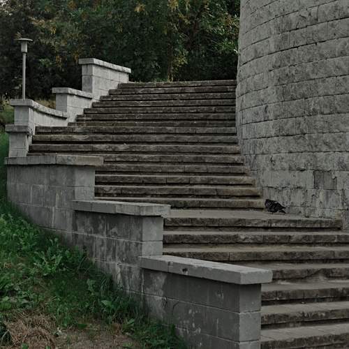 Photo #12685273