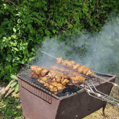 Photo #12685417