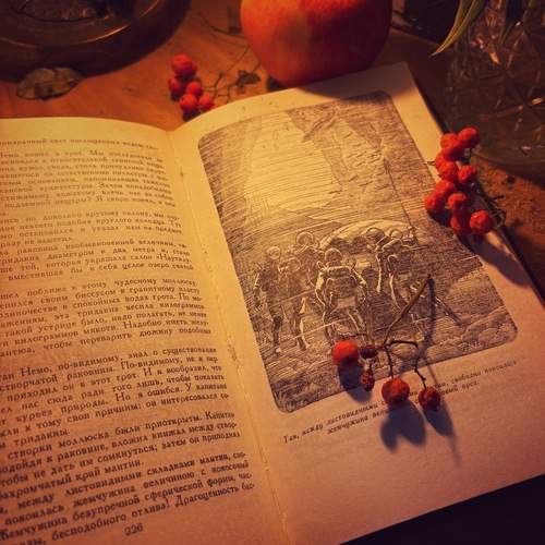 Photo #12685441
