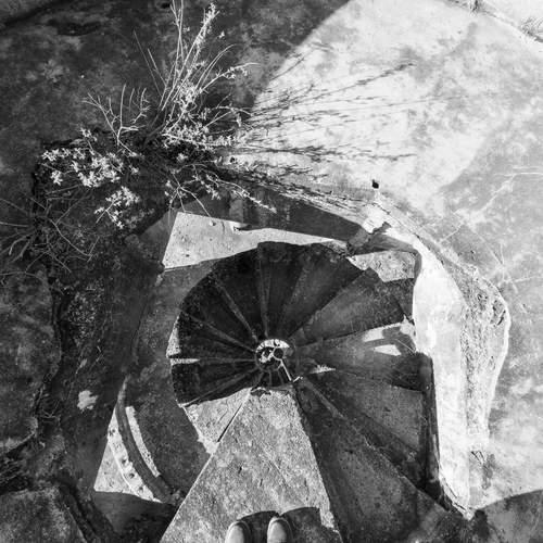 Фотография #12685564