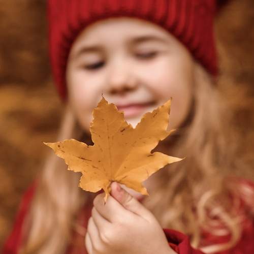Photo #12685718