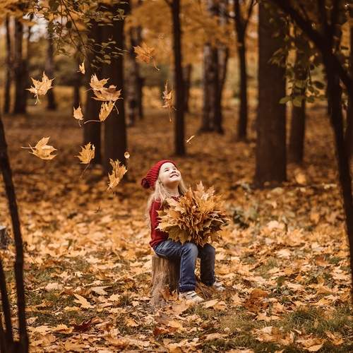 Photo #12685720