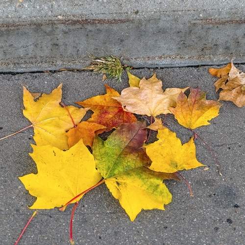 Photo #12685842