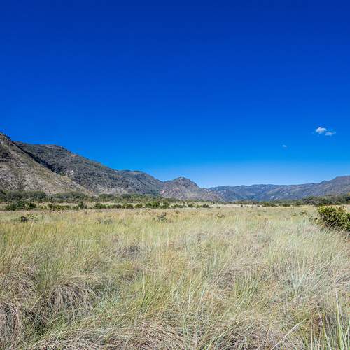 Photo #12685848