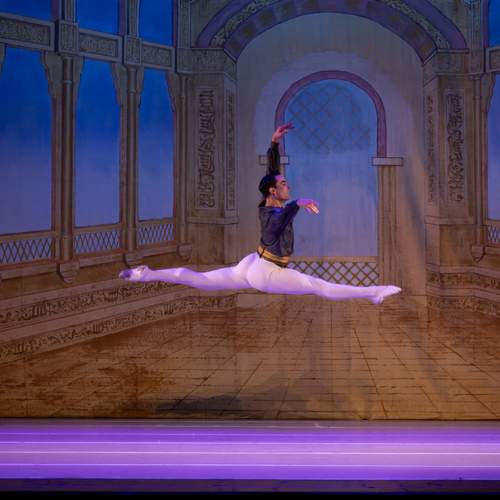 Photo #12685974