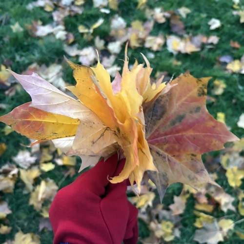 Photo #12685993