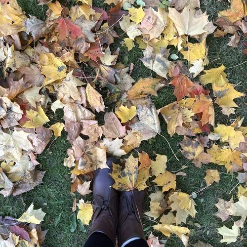 Photo #12685994