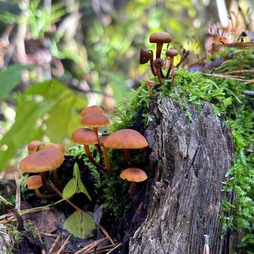 Photo #12686067