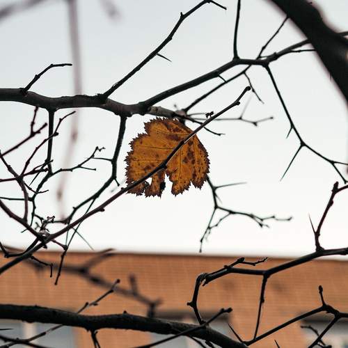 Photo #12686404