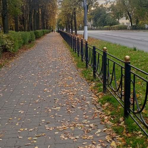 Photo #12686515