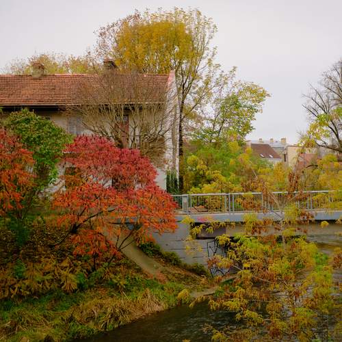 Photo #12686557