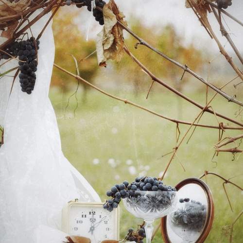 Photo #12686928