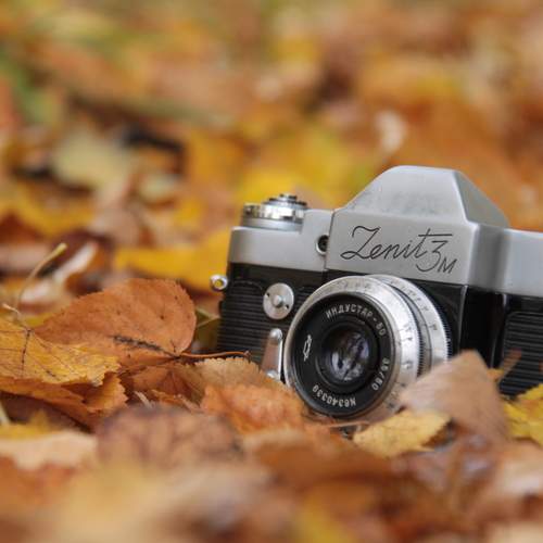 Photo #12687492