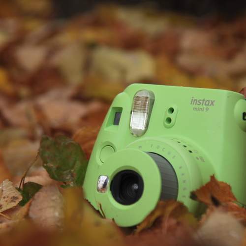 Photo #12687493