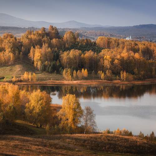 Photo #12687630