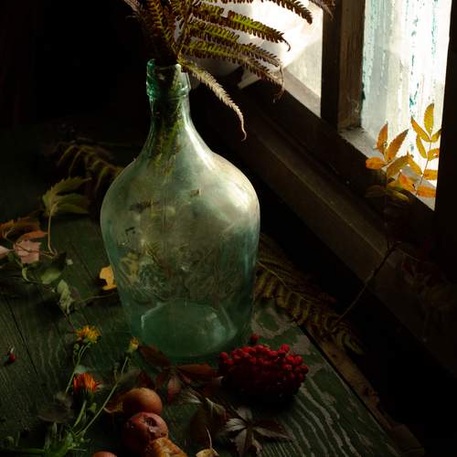 Photo #12687743