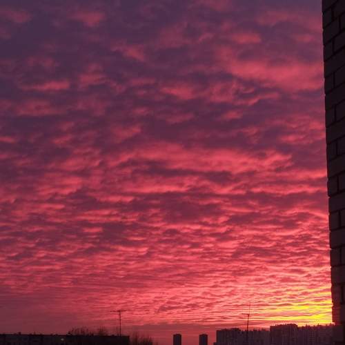 Photo #12687752