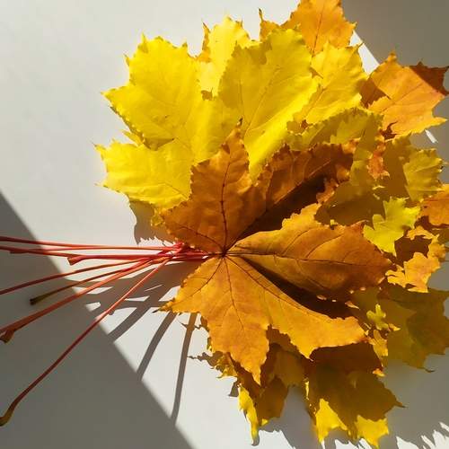 Photo #12687811