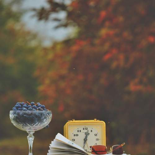 Photo #12687845