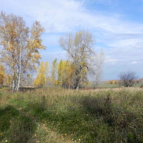 Photo #12688010