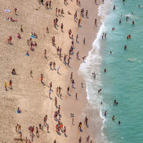 Photo #12688021