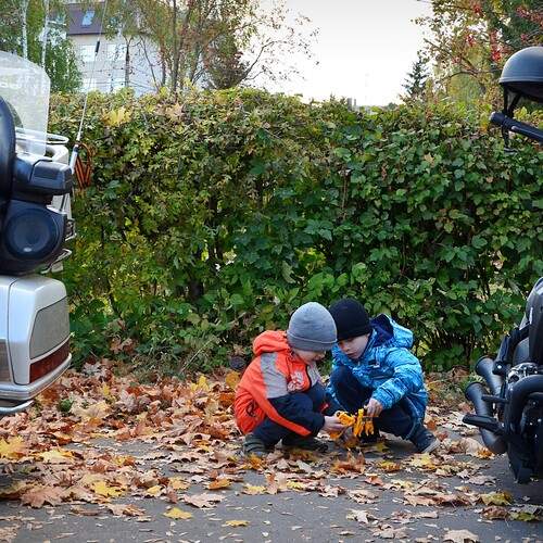 Photo #12688103