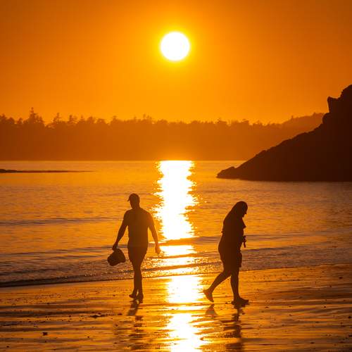 Photo #12688308