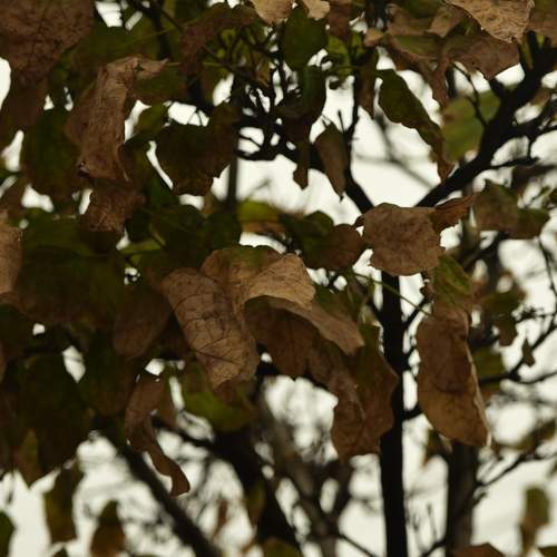 Photo #12688356