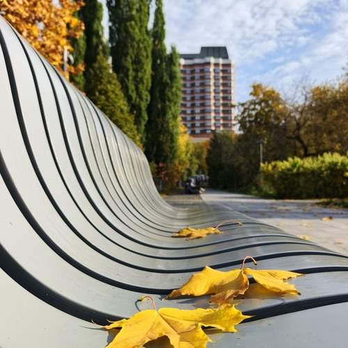 Photo #12688372