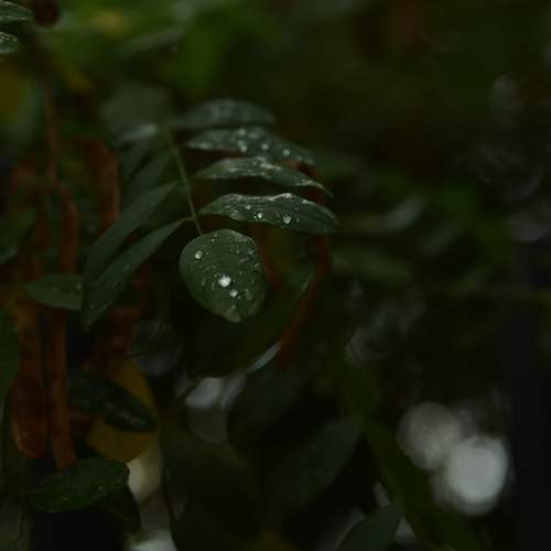 Photo #12688386