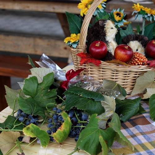 Autumn still life